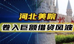 河北美院爆料视频